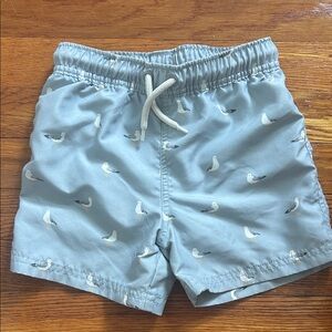 Little Planet Swim Trunks